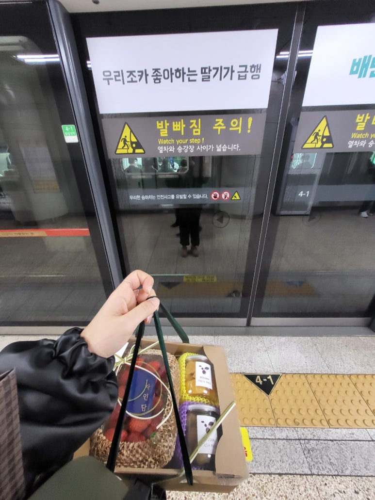 자인담 이미지