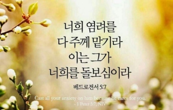 (주)들판 이미지