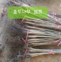충청도4호 이미지