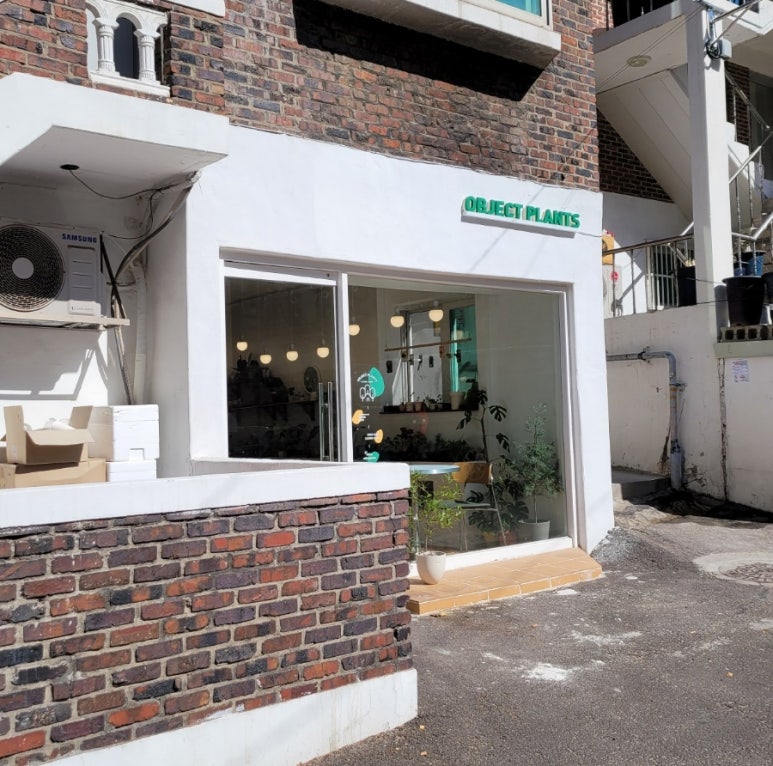 오브젝트플랜츠 이미지