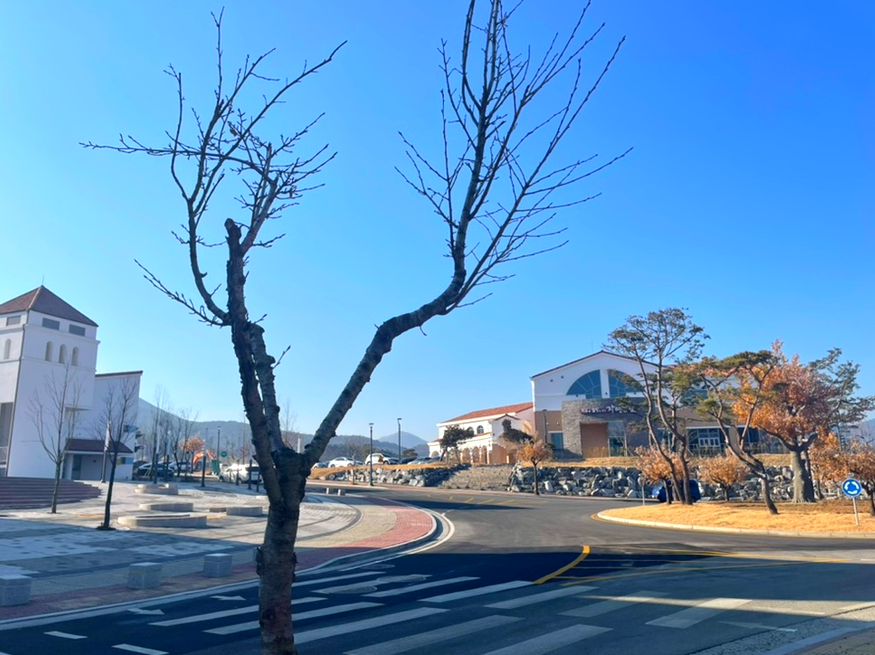 자연드림 괴산극장 이미지