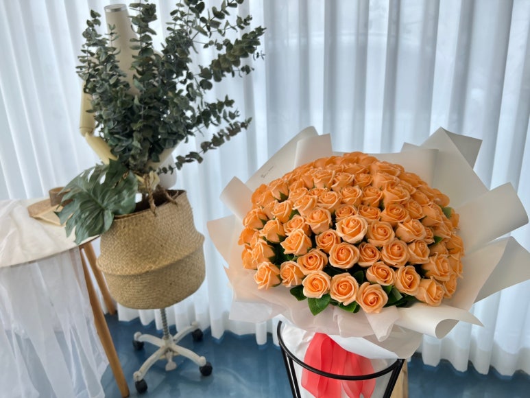 당근이협동조합 이미지