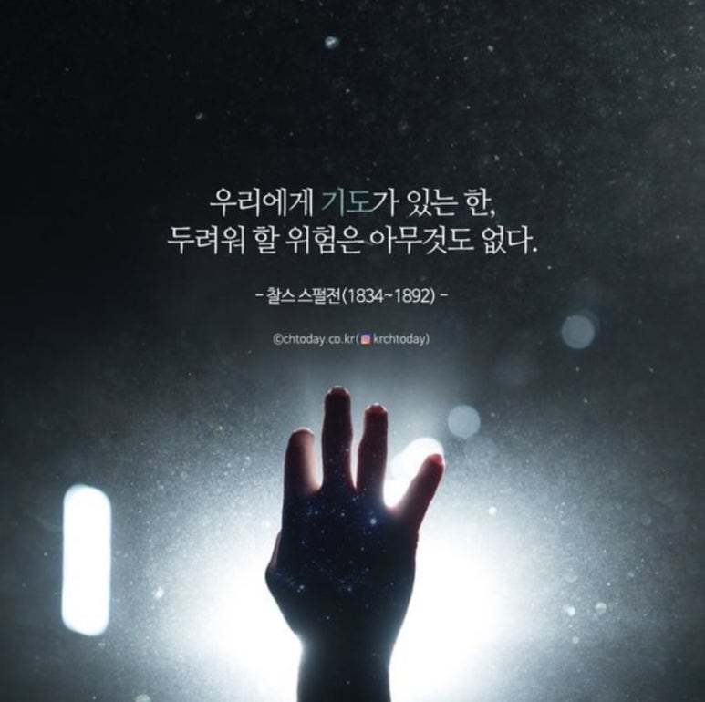 (주)처음 이미지