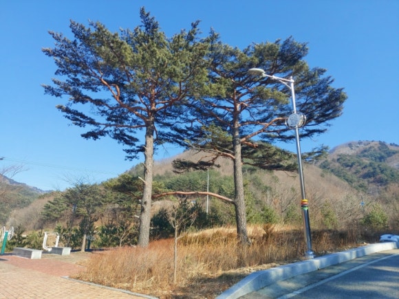 곰배령팜스테이 이미지