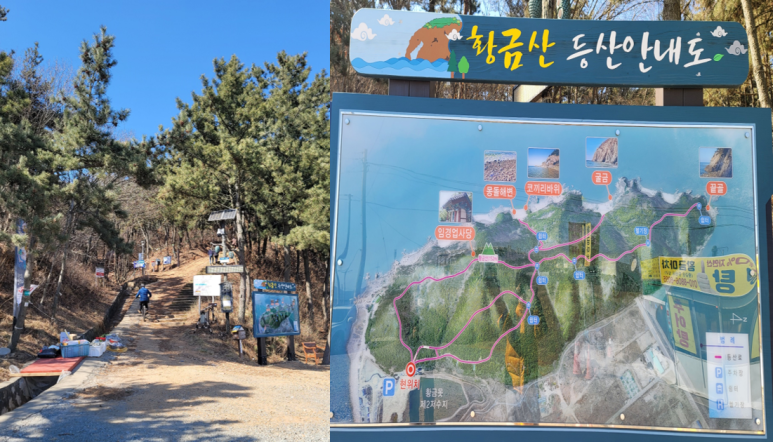 파파스디마지오 이미지
