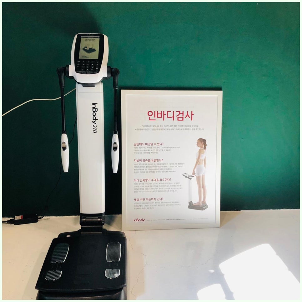 크로스핏터틀 이미지