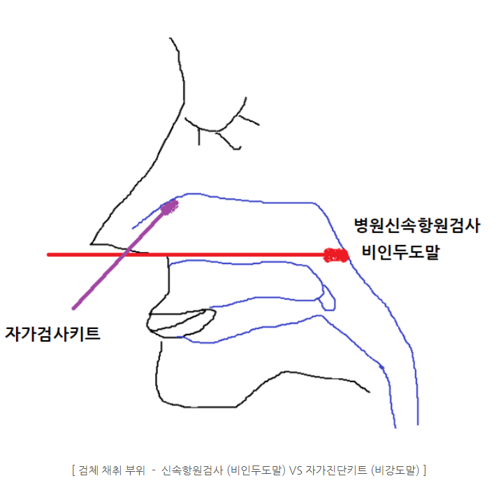 마로니에이비인후과의원 이미지