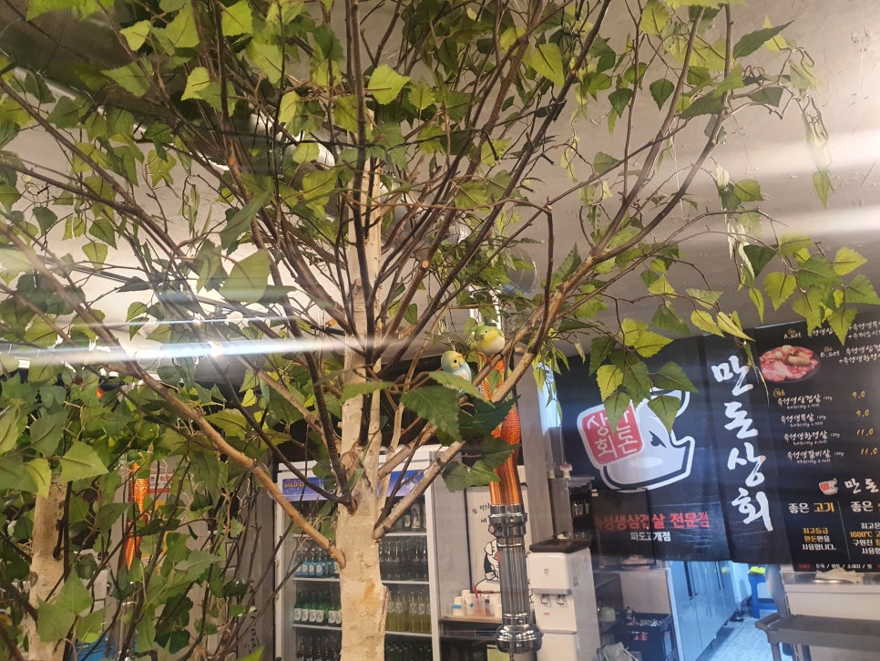 만돈상회 이미지