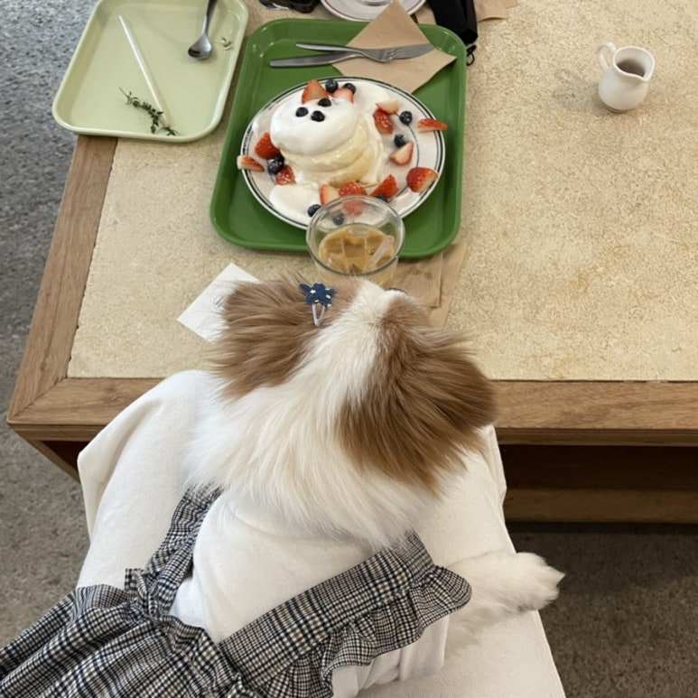 카페칼럼 이미지