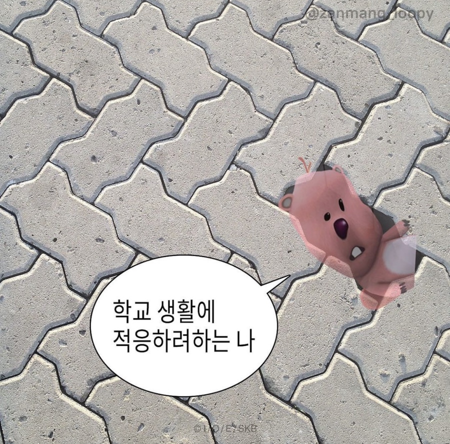 코쿤스토리 이미지