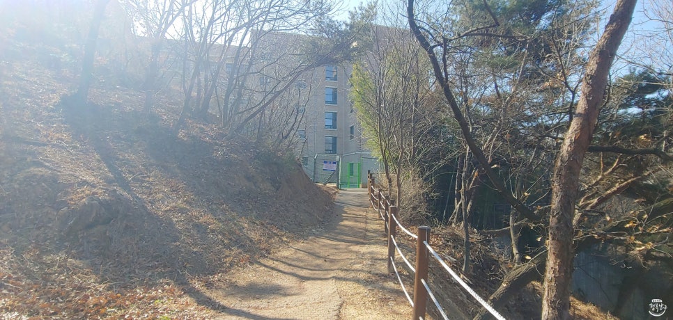 남산 유아숲체험원 이미지