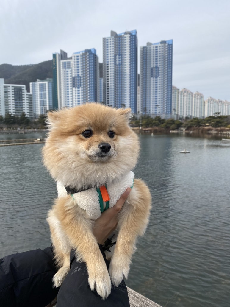 연지수산 이미지
