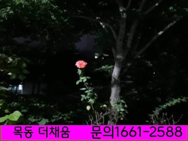 더채움비지니스 이미지