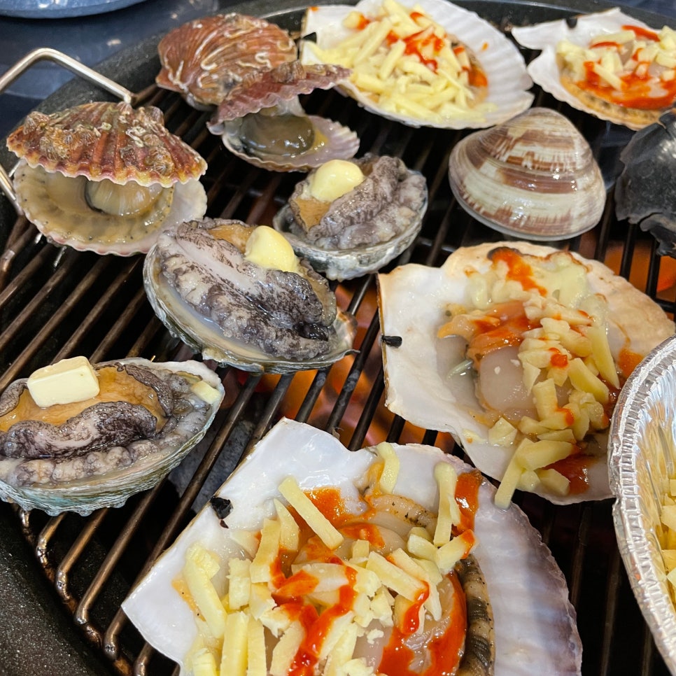 바다에빠진조개 이미지