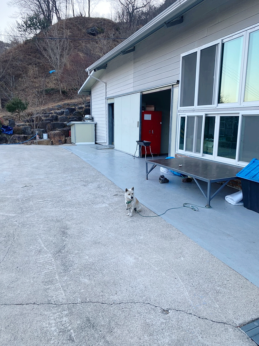 산청군농협하나로마트 덕산점 이미지
