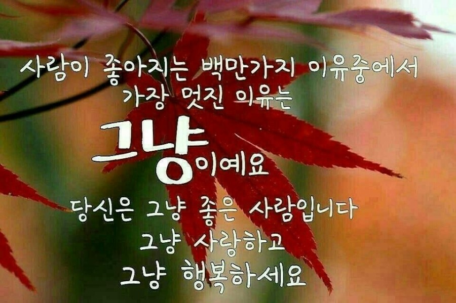 청지기주 이미지