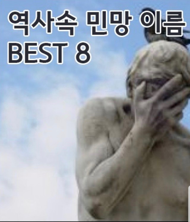 베스트8 이미지