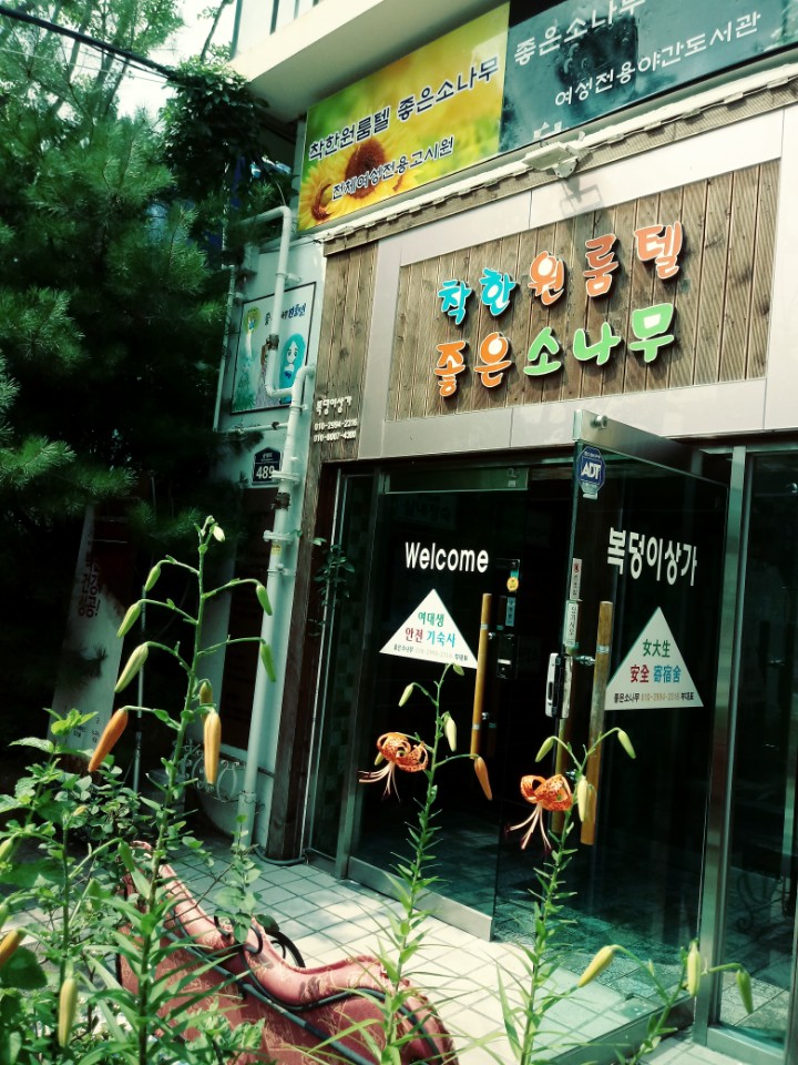 소나무스터디카페 이미지