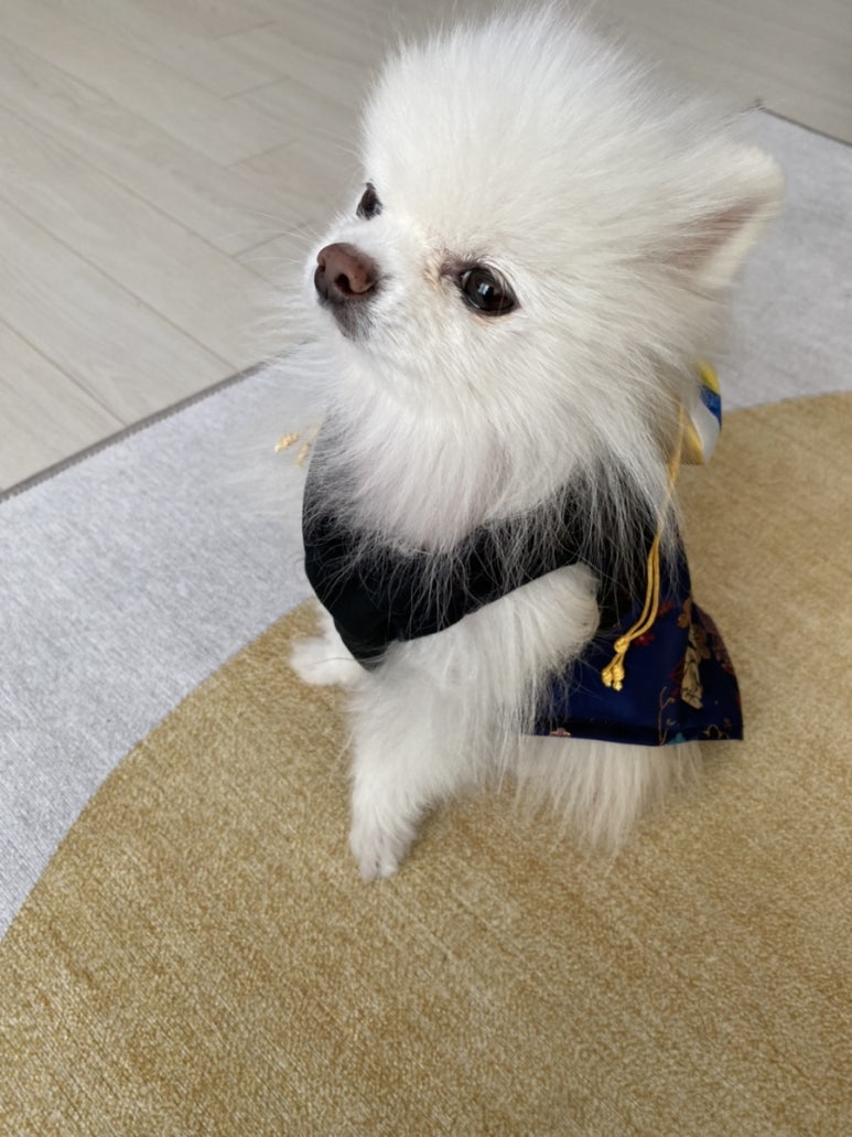 삼돌이왕숯불갈비 이미지