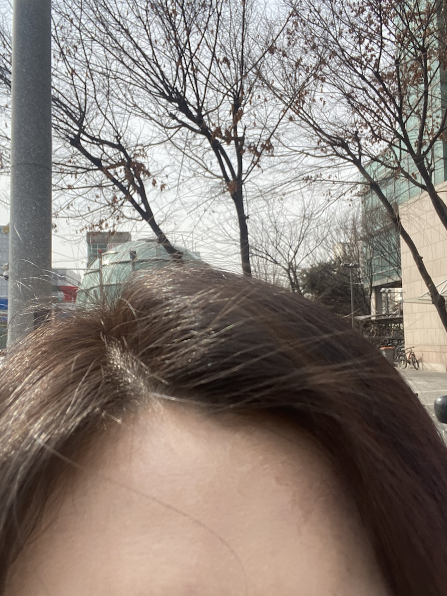 와플대학 양천구청캠퍼스 이미지