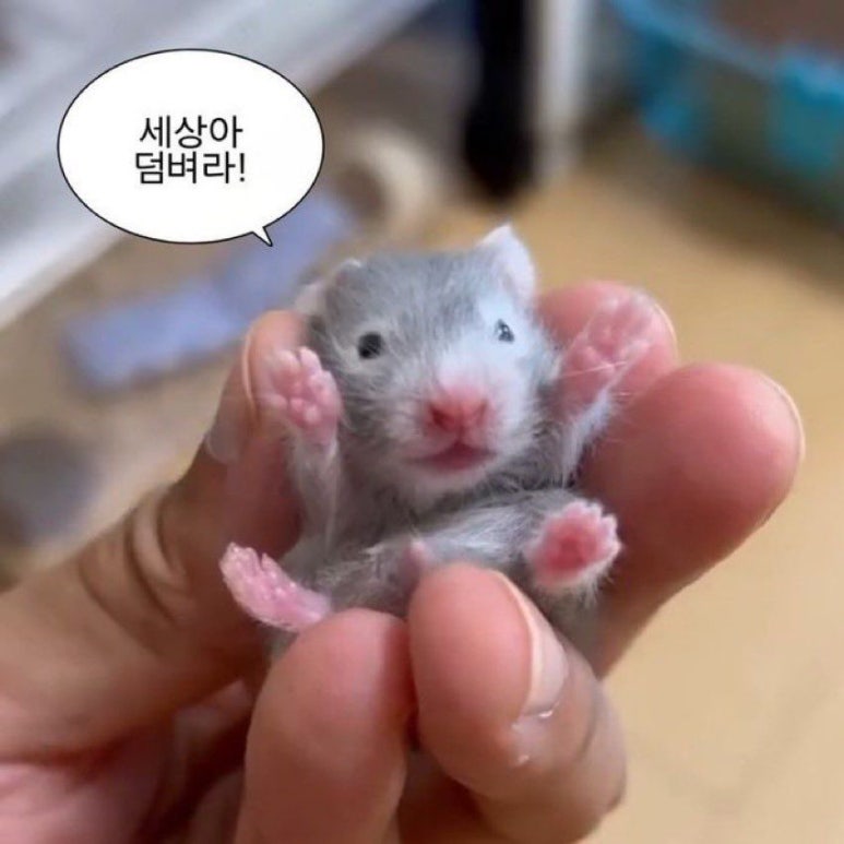 담소커피랩 이미지