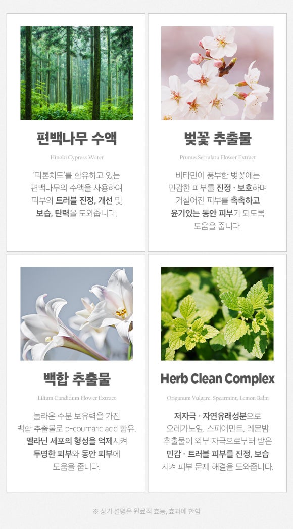 비바워시 이미지