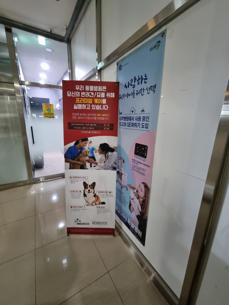 용인 광교 24시 동물병원: 강아지 첫 건강검진 비용과 후기 — 사진 8
