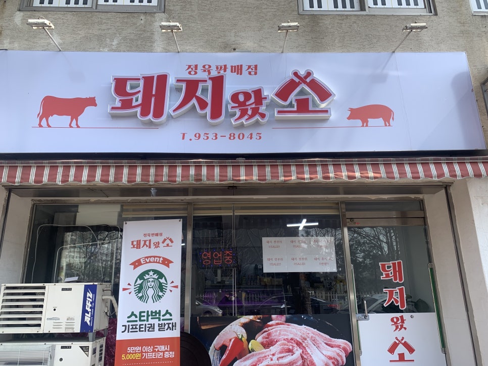 돼지가왔소 이미지