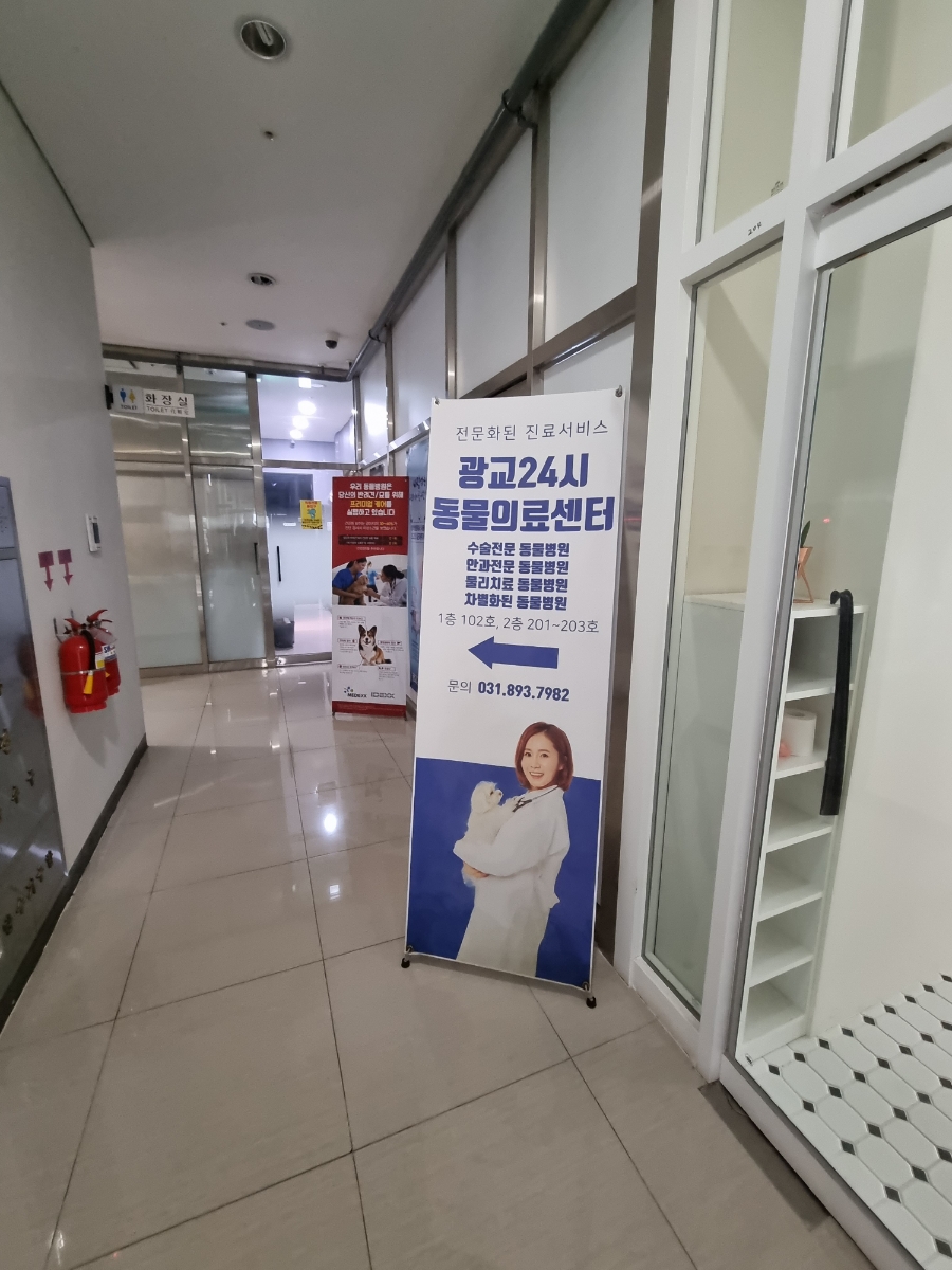 용인 광교 24시 동물병원: 강아지 첫 건강검진 비용과 후기 — 사진 7