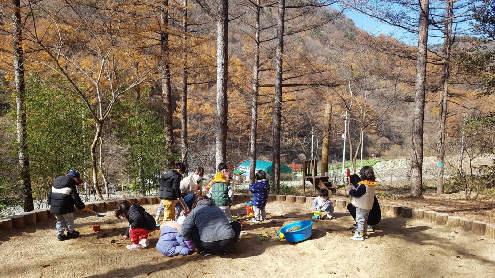 김천 유아숲체험원 이미지
