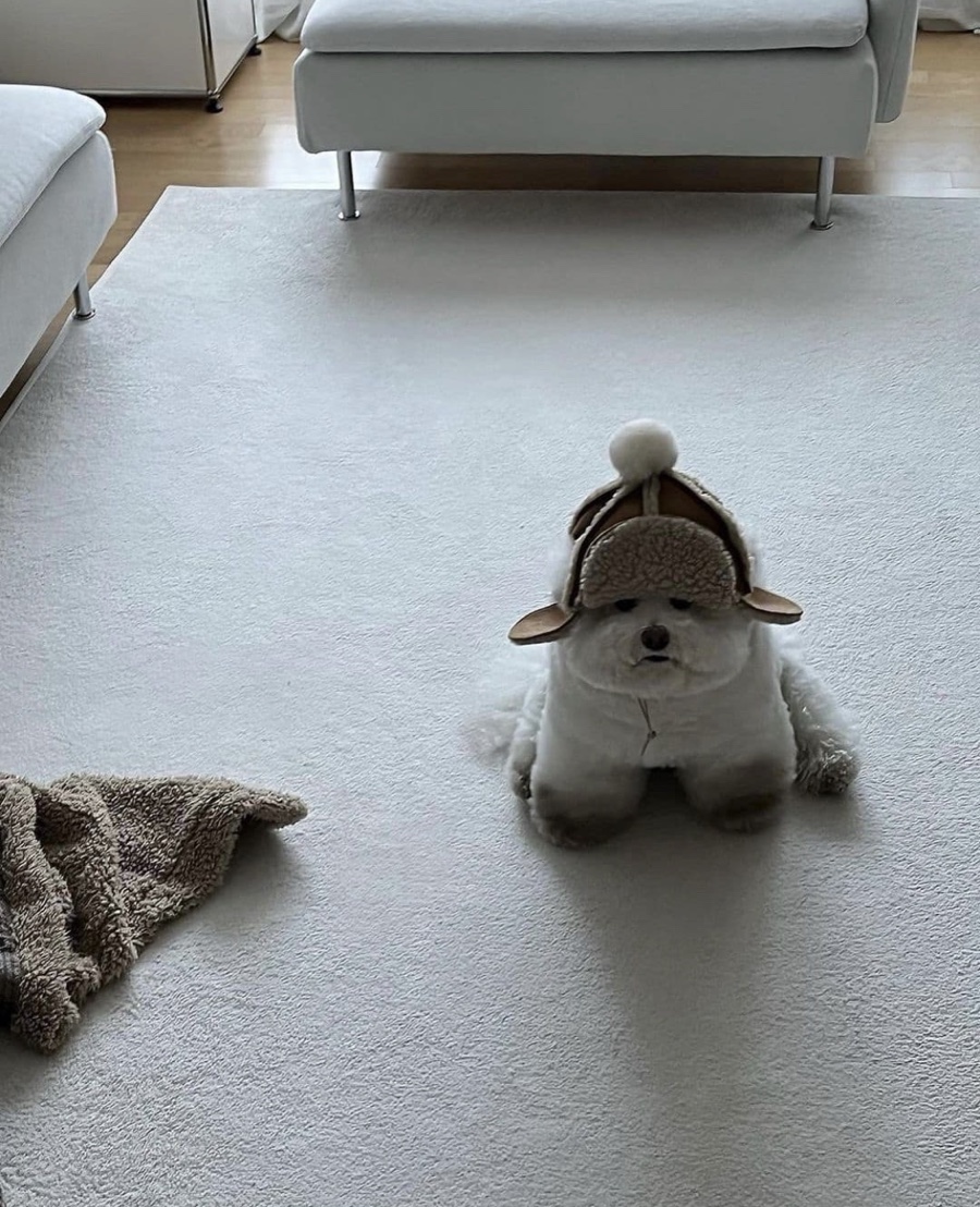 멜로우카페 이미지
