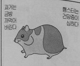 이어진 이미지