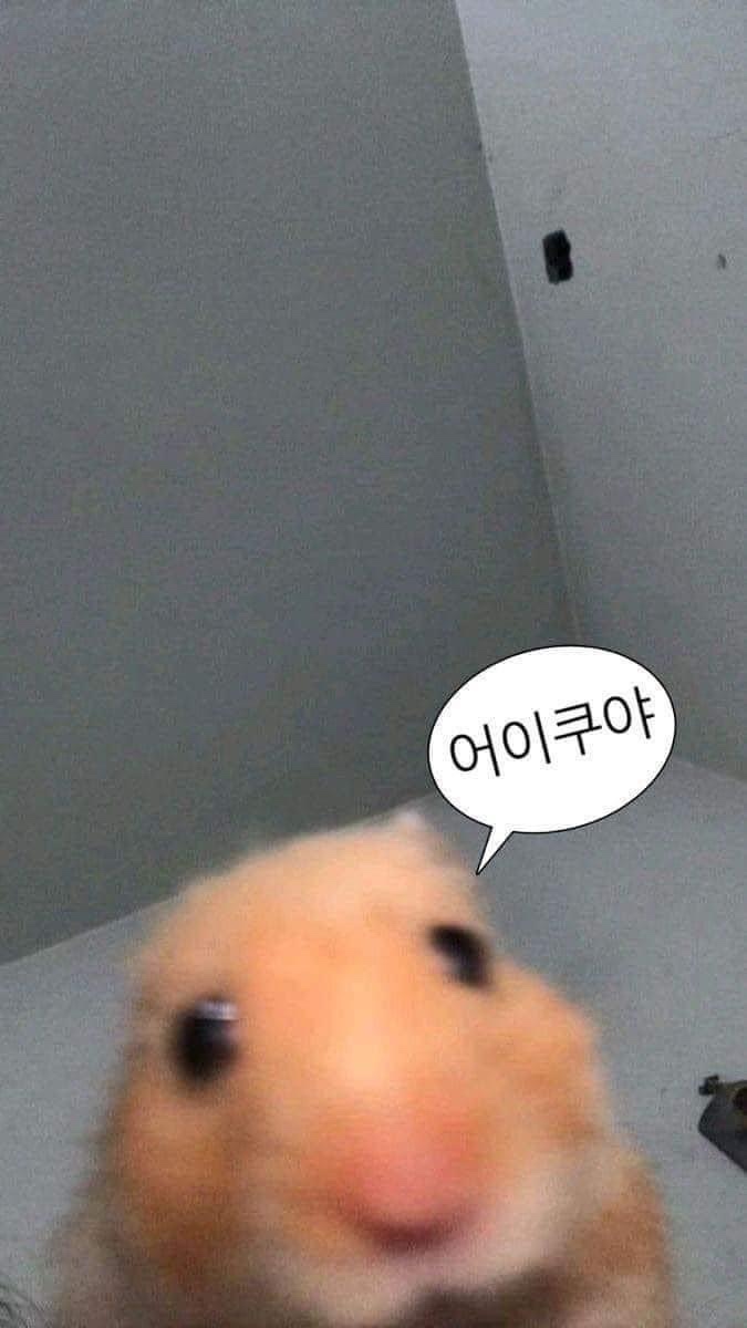 울랄라베이커리 이미지