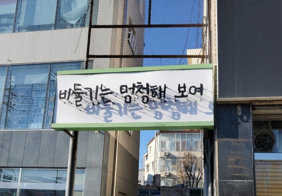 비둘기는멍청해보여 이미지