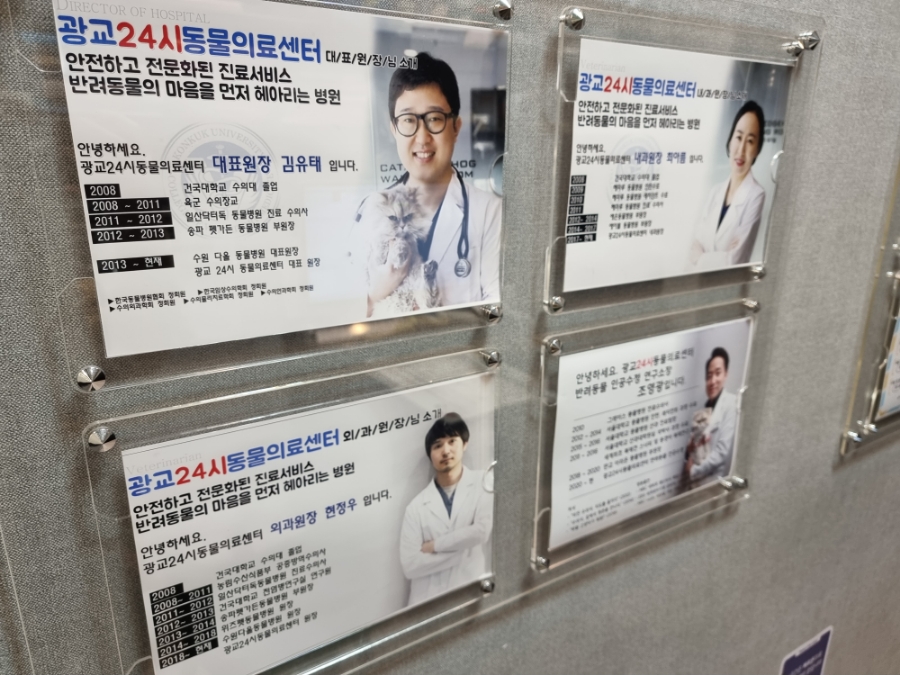 용인 광교 24시 동물병원: 강아지 첫 건강검진 비용과 후기 — 사진 19