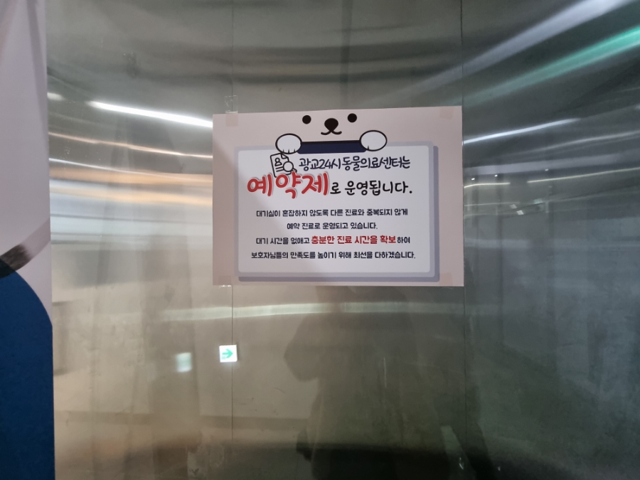 용인 광교 24시 동물병원: 강아지 첫 건강검진 비용과 후기 — 사진 10