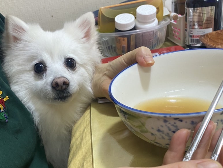 바른국수둥이네 이미지