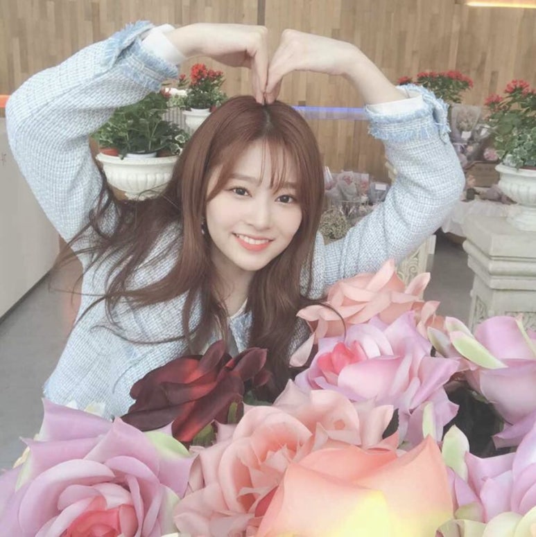 원아이스크림 이미지