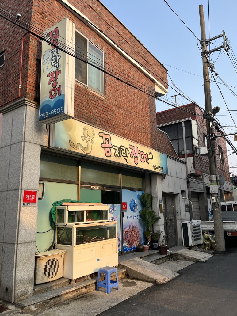 꼼지락장어 이미지