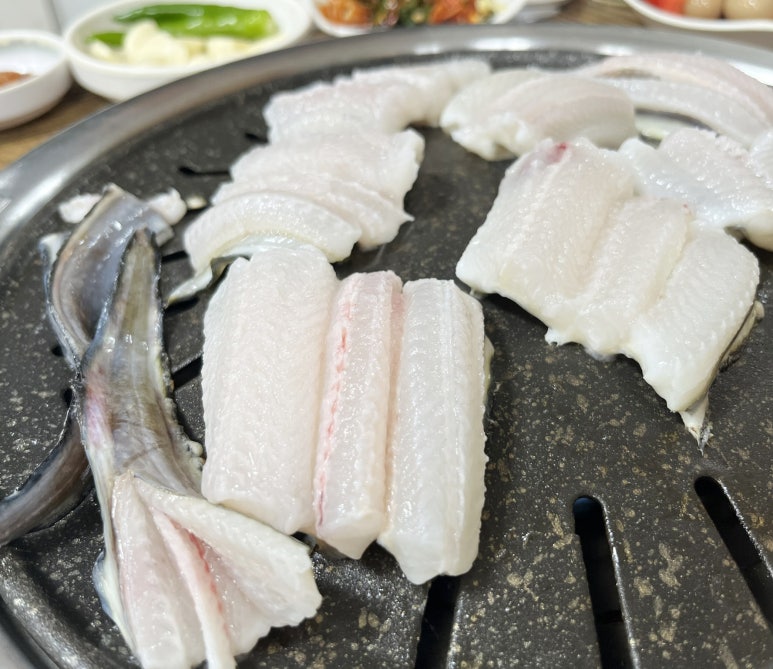 꼼지락장어 이미지