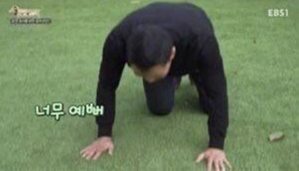 박스네일 이미지