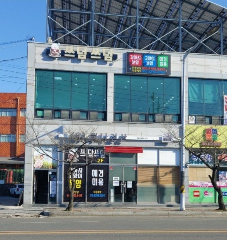 샵춘자 이미지