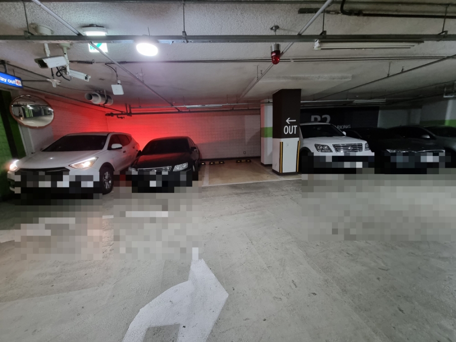 용인 광교 24시 동물병원: 강아지 첫 건강검진 비용과 후기 — 사진 5