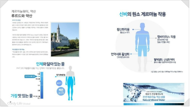 인터네셔널에이피 이미지