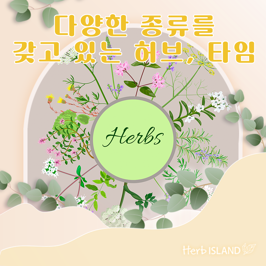 허브타임 이미지