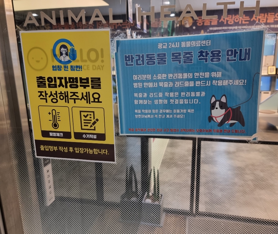 용인 광교 24시 동물병원: 강아지 첫 건강검진 비용과 후기 — 사진 11