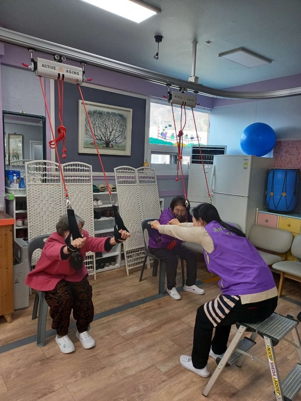 마르페인 이미지
