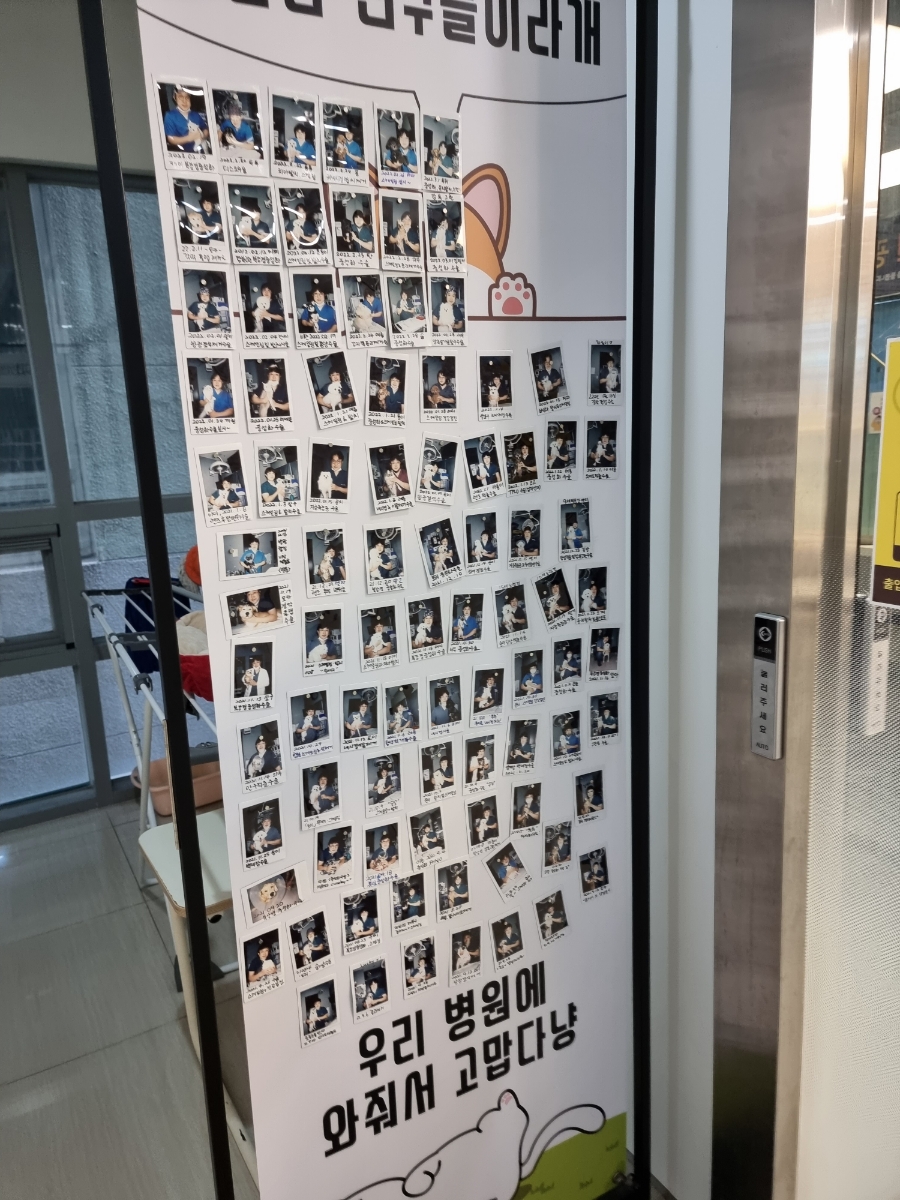 용인 광교 24시 동물병원: 강아지 첫 건강검진 비용과 후기 — 사진 12