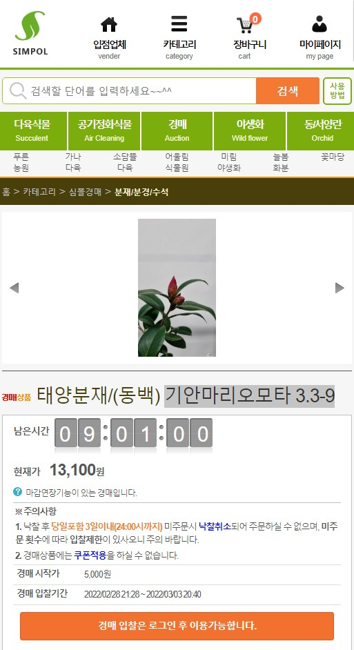 태양모타 이미지