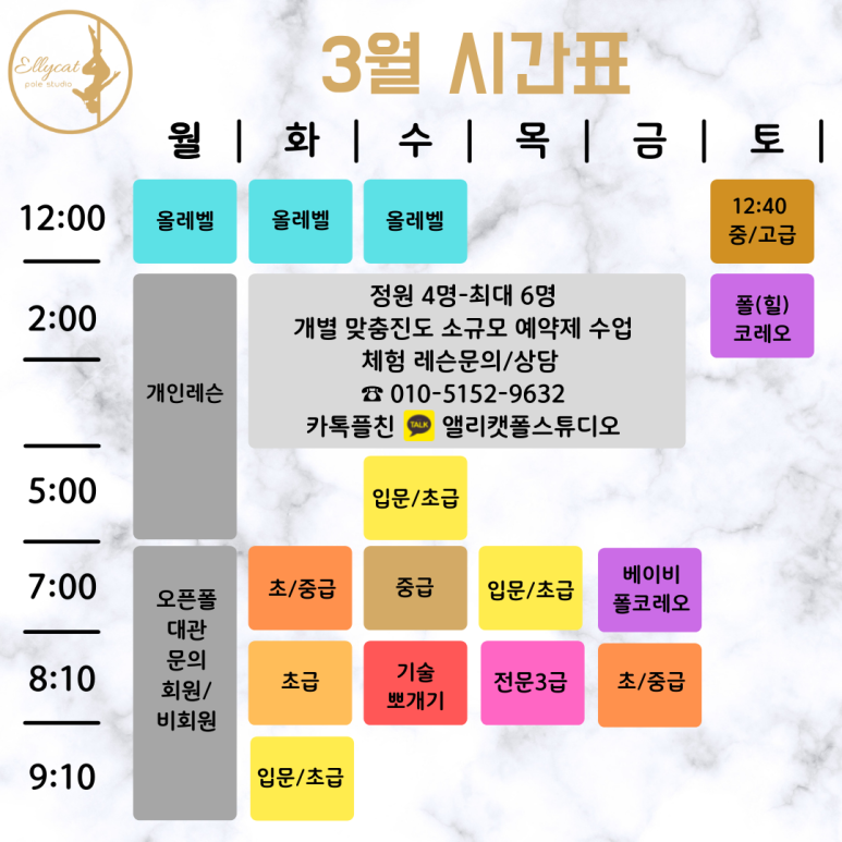 앨리캣폴스튜디오 이미지